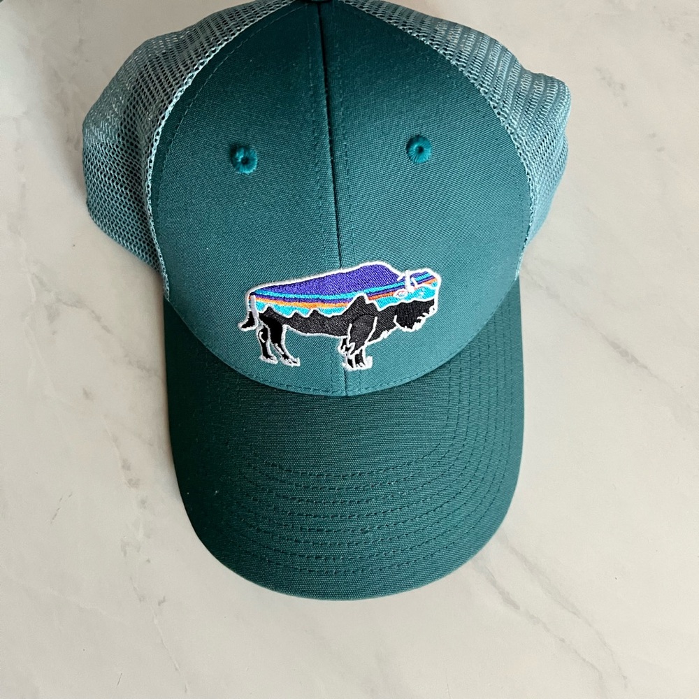 Patagonia Hat nwot